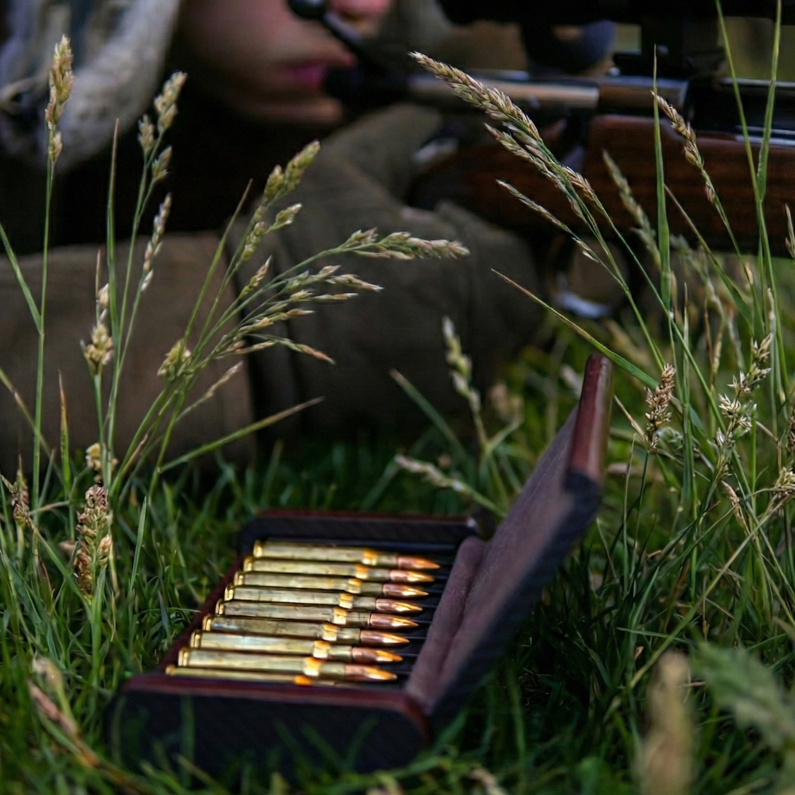 Consularis i användning